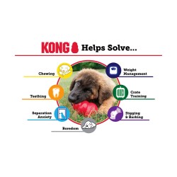 JOUET KONG PUPPY XS