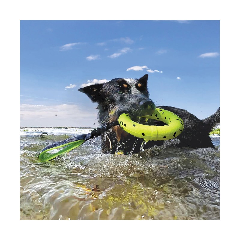 JOUET KONG REFLEX TUG