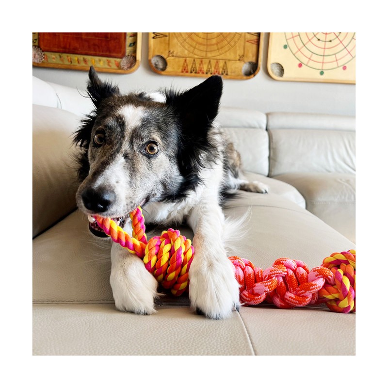 JOUET KONG ROPE BUNJI S