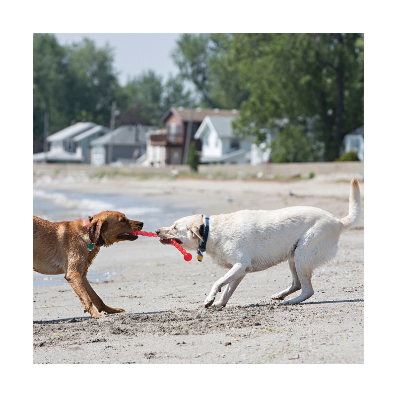 JOUET KONG SAFESTIX S 30CM