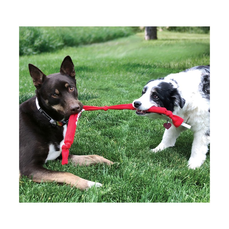 JOUET KONG SIGN.CRUNCH ROPE DOUBLE