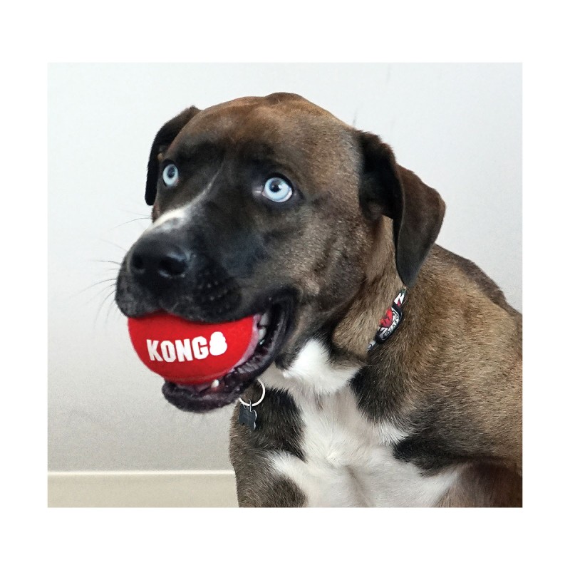 JOUET KONG SPORT BALLS M X3