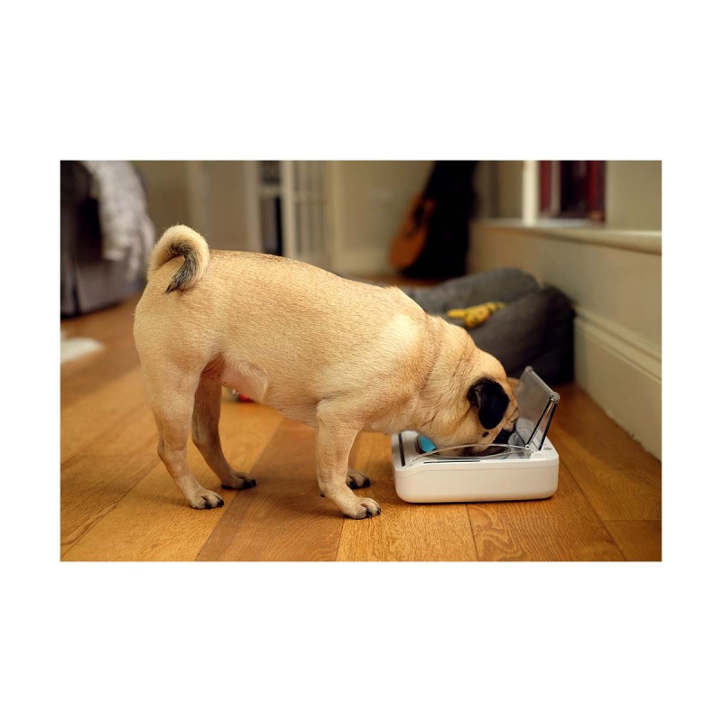 BOL HERMETIQUE SUREFLAP