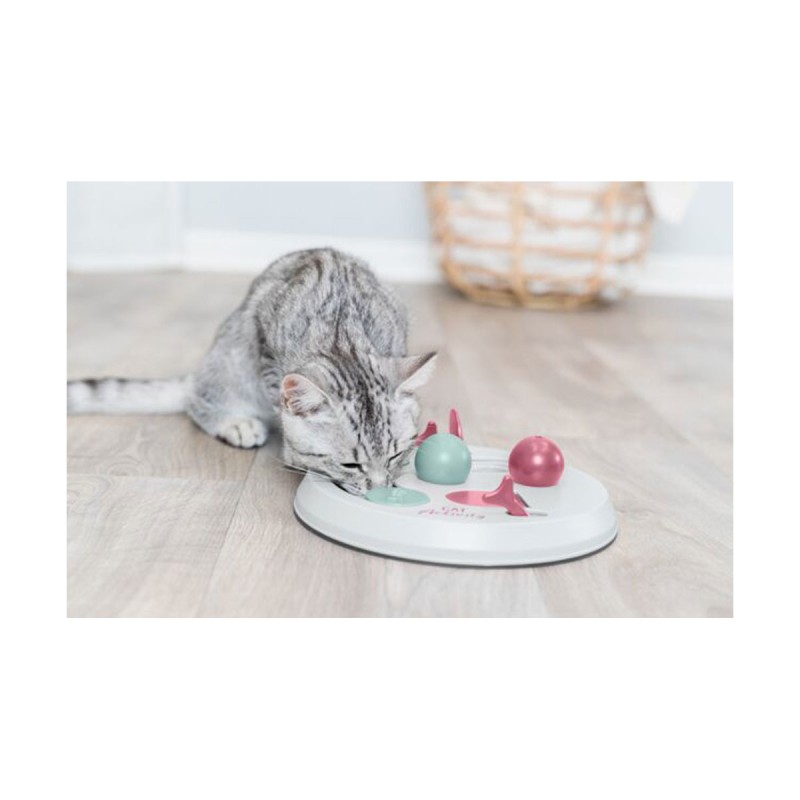 JOUET CHAT FLIP BOARD