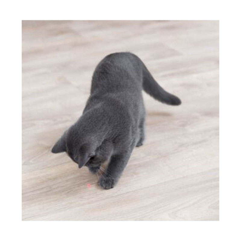 JOUET CHAT POINTEUR LASER