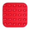 TAPIS A LECHER
