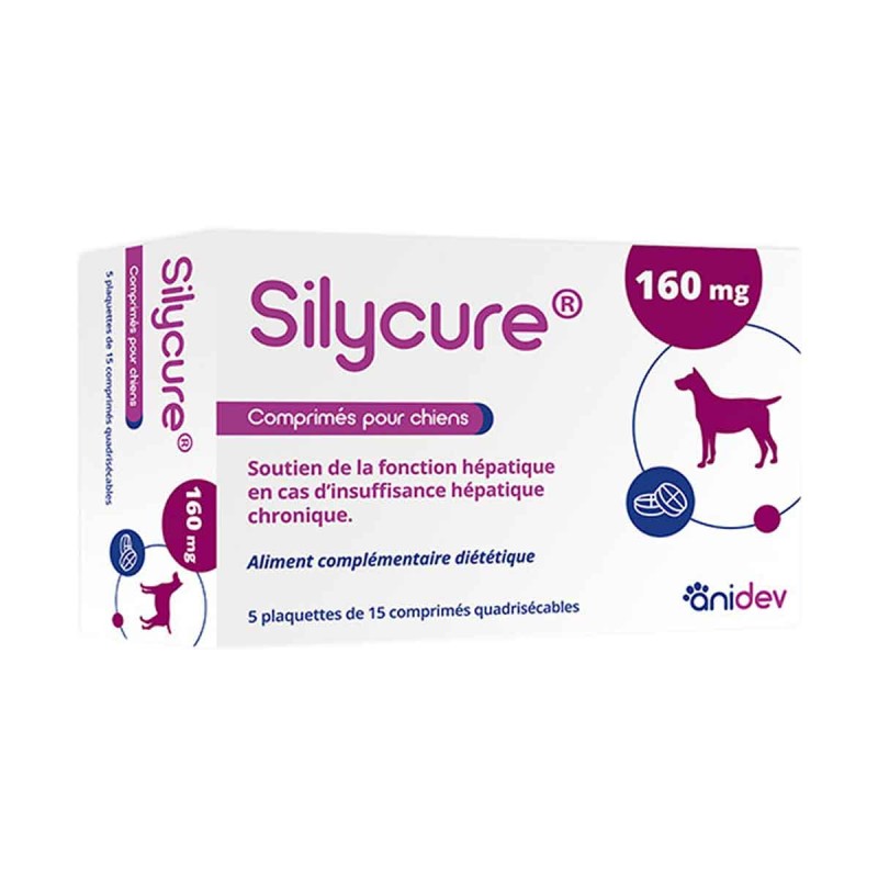 SILYCURE 160 MG 5X15 CPRS