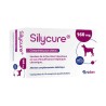 SILYCURE 160 MG 5X15 CPRS