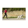 CEINTURE CANICROSS ONE I DOG