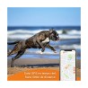 GPS WEENECT XS CHIEN