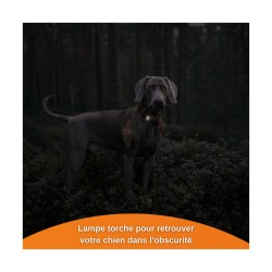 GPS WEENECT XS CHIEN