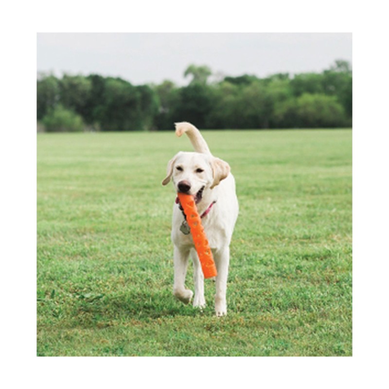 JOUET CHUCKIT STICK L