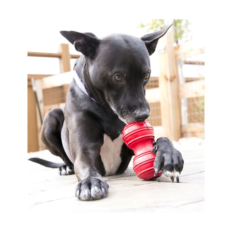 JOUET DENTAL KONG LARGE