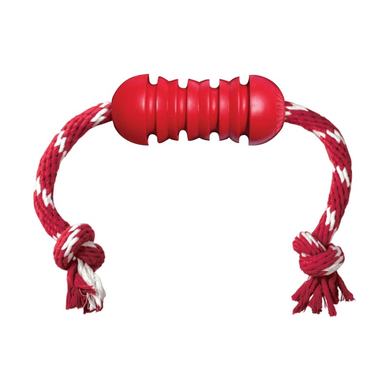 JOUET DENTAL KONG MOYEN