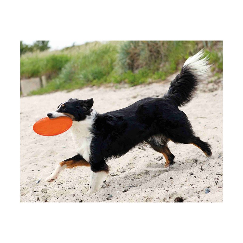 JOUET DOG DISC FLOTTANT
