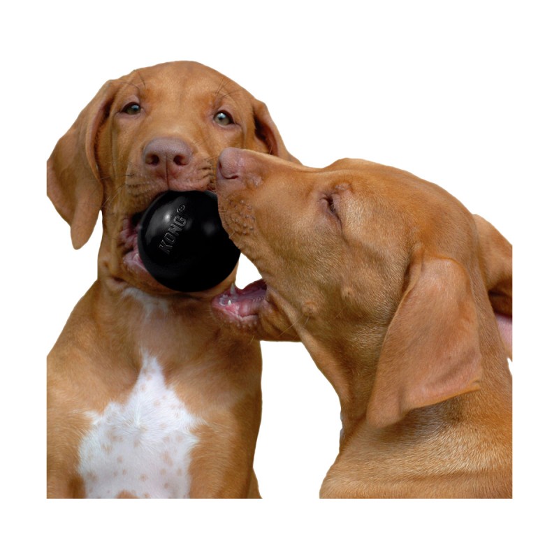 JOUET KONG BALL EXTREME M/L