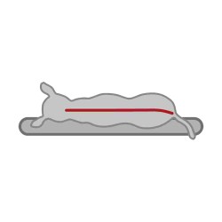 MATELAS MEMOIRE FORME 100X65 CM