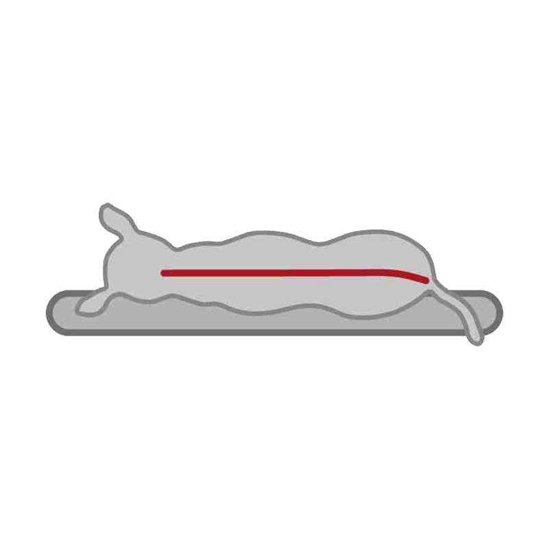 MATELAS MEMOIRE FORME 80X60CM