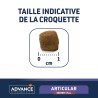 ADVANCE VD CN SENIOR ARTICULAR 12KG