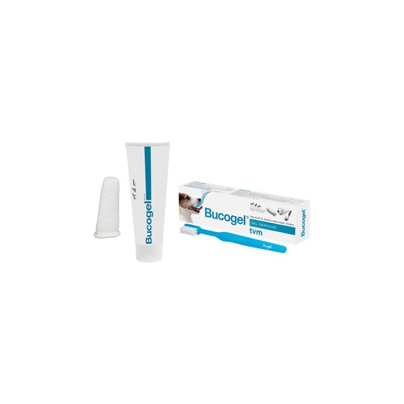 BUCOGEL TUBE 50 ML+BROSSE
