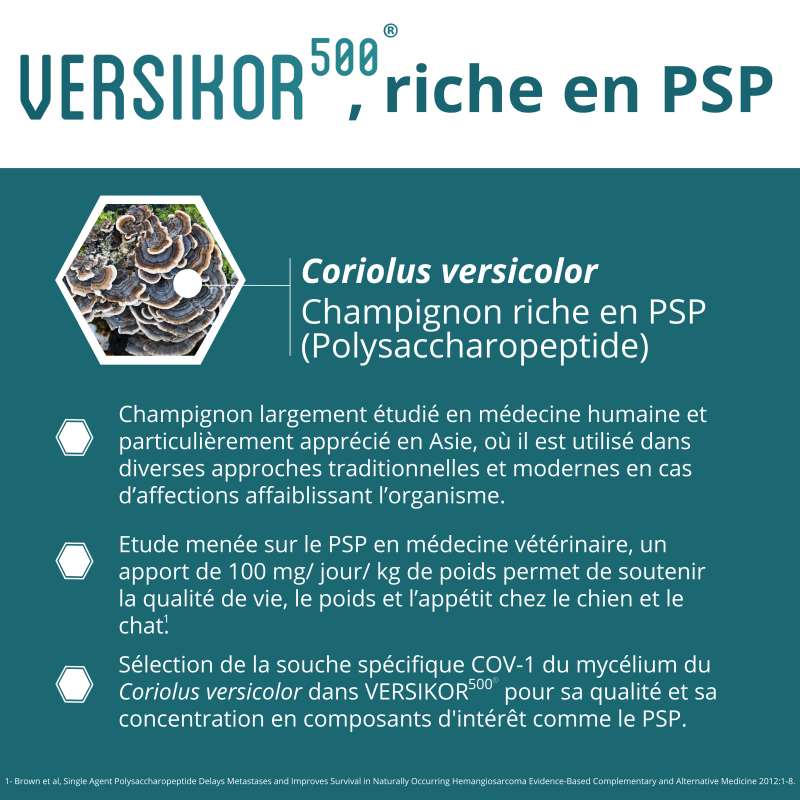 VERSIKOR 500 CHIEN ET CHAT BT 60 CPRS