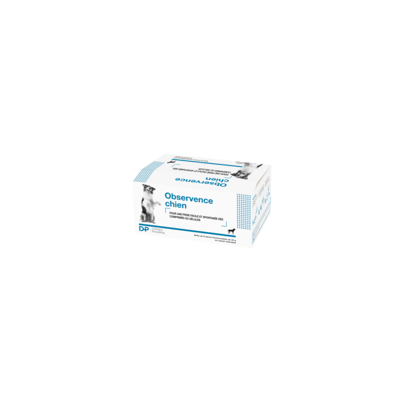 OBSERVENCE Chien  Boîte de 6 barres fractionnables de 25 g en sachets individuels