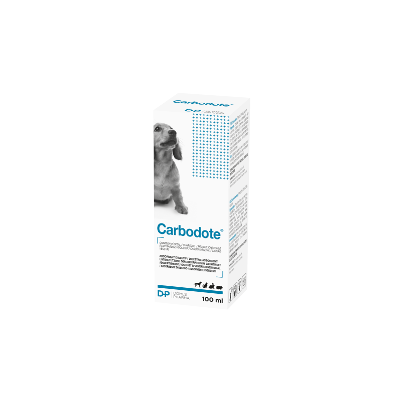 CARBODOTE  Boîte de 1 flacon de 100 mL