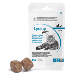 LYSINE PLUS