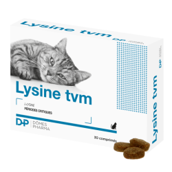 LYSINE TVM®