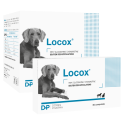 LOCOX®  Boîte de 3 blisters de 10 comprimés