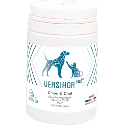 VERSIKOR 500 CHIEN ET CHAT BT 60 CPRS