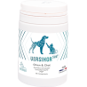 VERSIKOR 500 CHIEN ET CHAT BT 60 CPRS