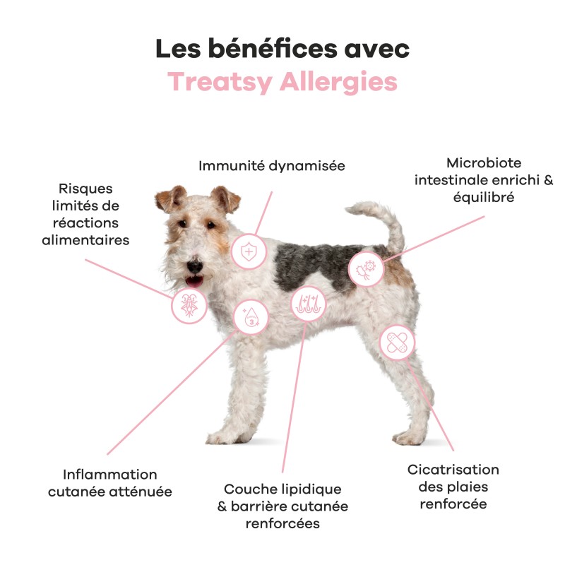 TREATSY CHIEN ALLERGIES 180G