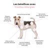 TREATSY CHIEN ALLERGIES 180G