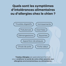 TREATSY CHIEN ALLERGIES 180G