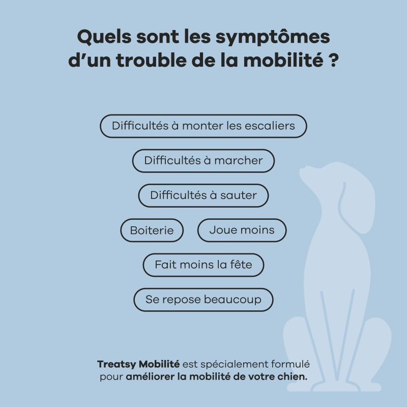 TREATSY CHIEN MOBILITE 180G