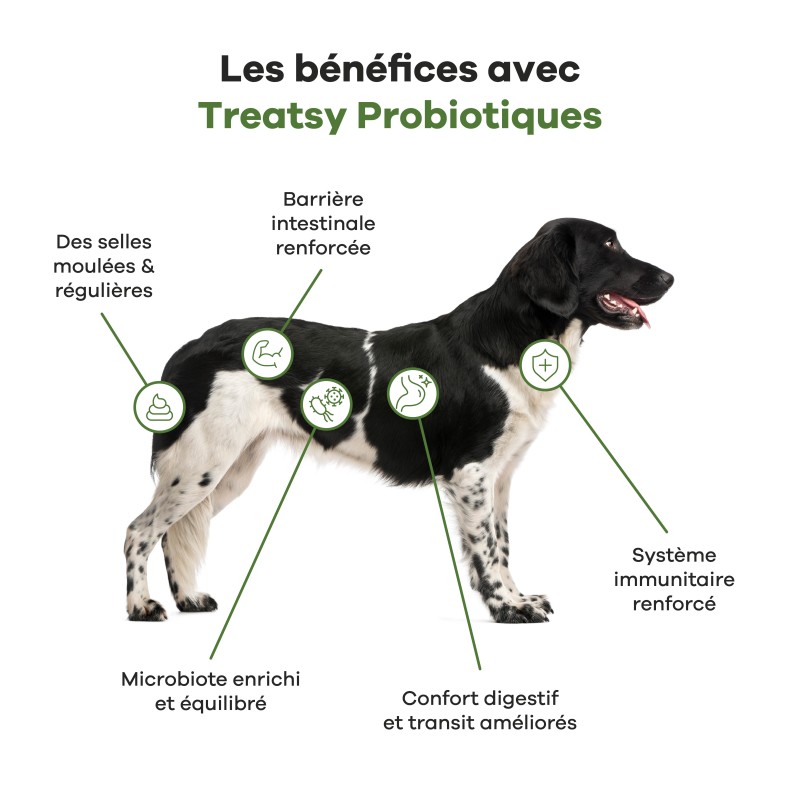 TREATSY CHIEN PROBIOTIQUES 180G