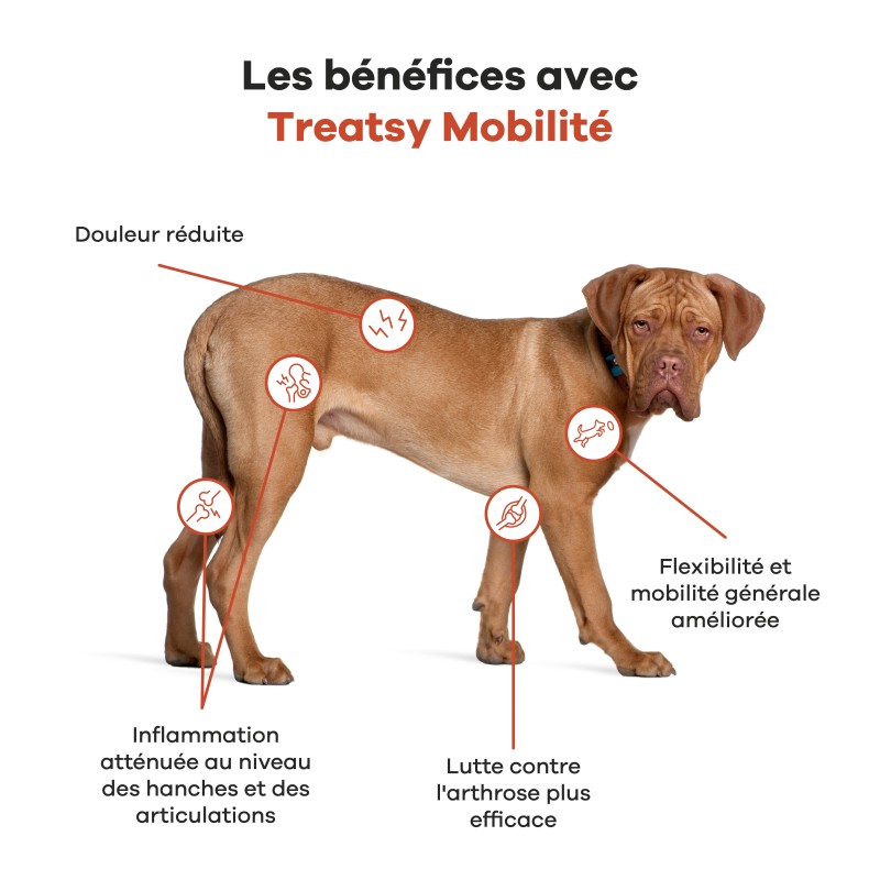 TREATSY HUILE CN&CT MOBILITE 250ML