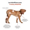 TREATSY HUILE CN&CT MOBILITE 250ML
