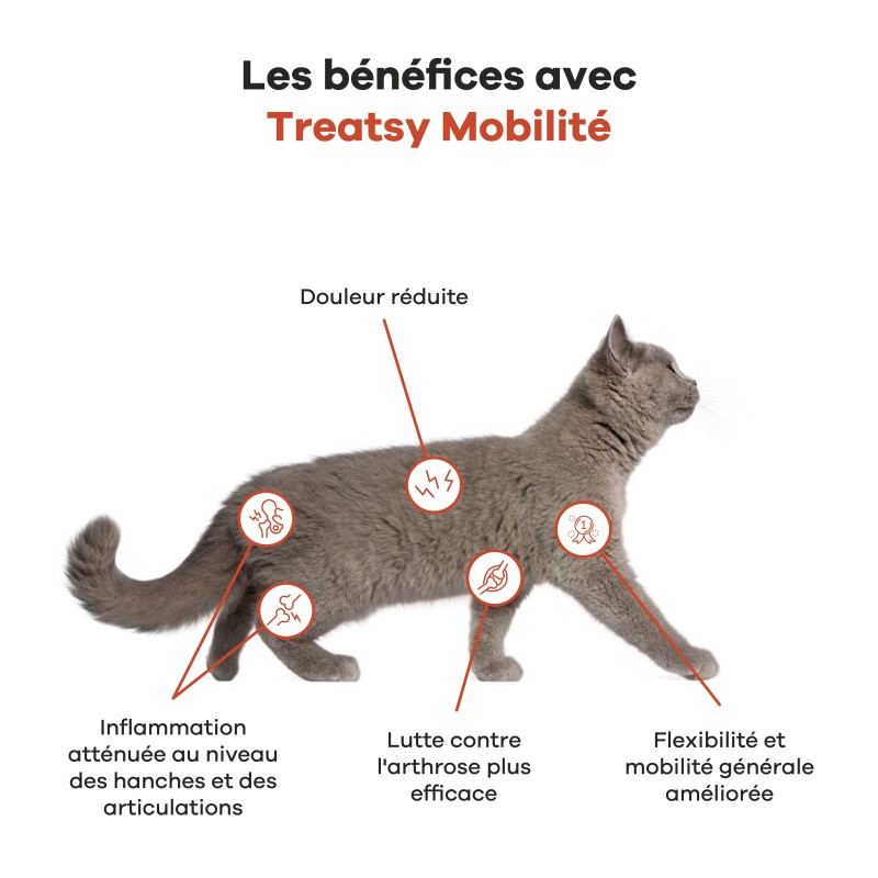 TREATSY HUILE CN&CT MOBILITE 250ML