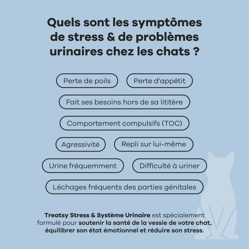 TREATSY CT STRESS&SYST URINAIRE 90G