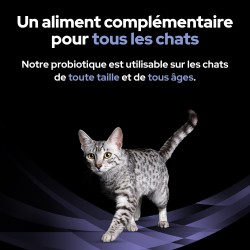 FORTIFLORA PROPLAN CHAT 60 BOUCHEES