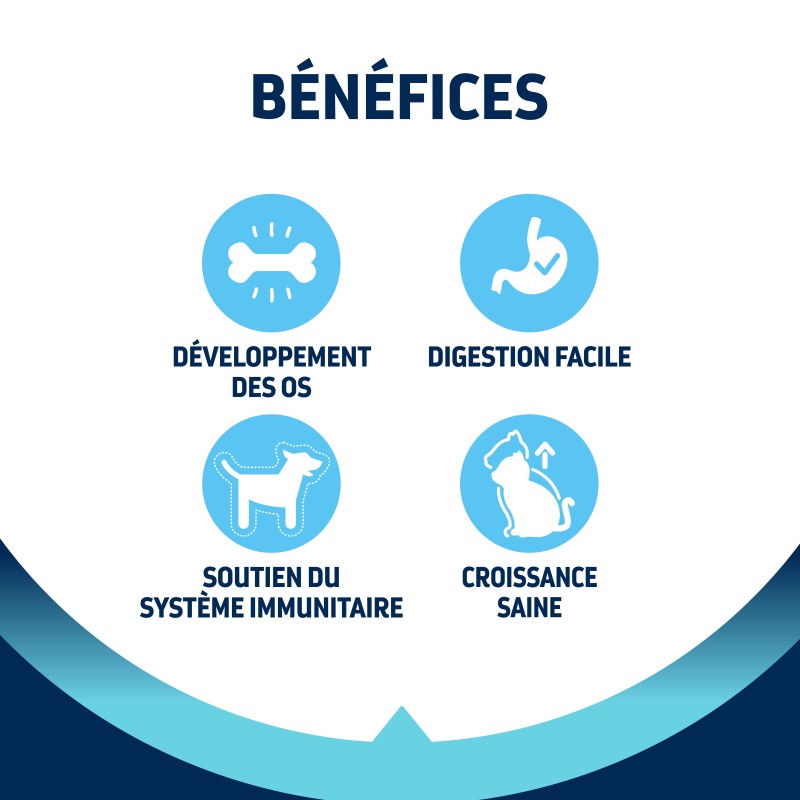 ADVANCE CHATON / KITTEN CHICKEN 1,5KG