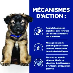 HILL'S PUPPY I/D DIGESTIVE AB+ 12X360G