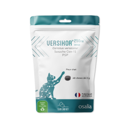 VERSIKOR 250 CHAT Sachet de 60 chews
