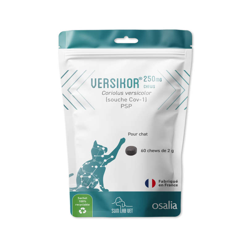 VERSIKOR 250 CHAT Sachet de 60 chews