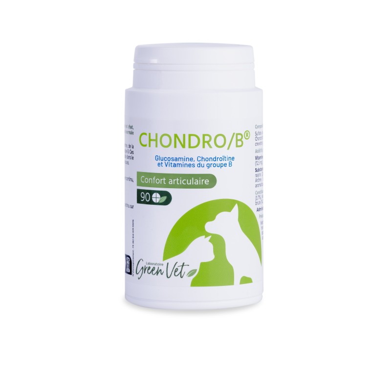 CHONDRO-B 90 CP