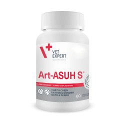 ART-ASUH S 60 CAPSULES