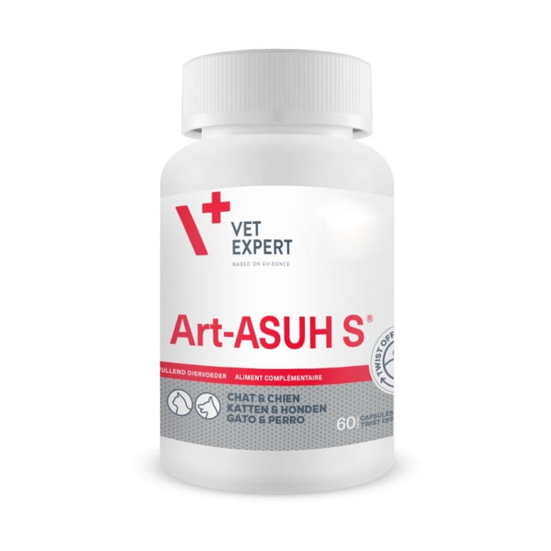 ART-ASUH S 60 CAPSULES