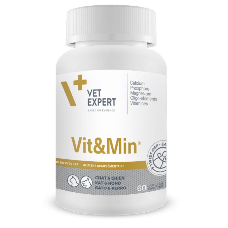 VIT&MIN 60 CAPSULES